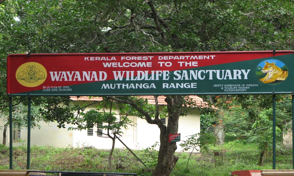 Muthanga Wildlife Sanctuary | Best tourist places in Wayanad - Whatnewtrends